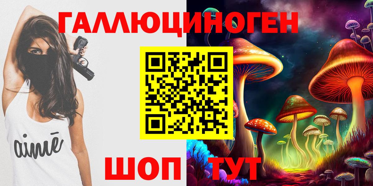 Галлюциногенные грибы Psilocybe Обнинск